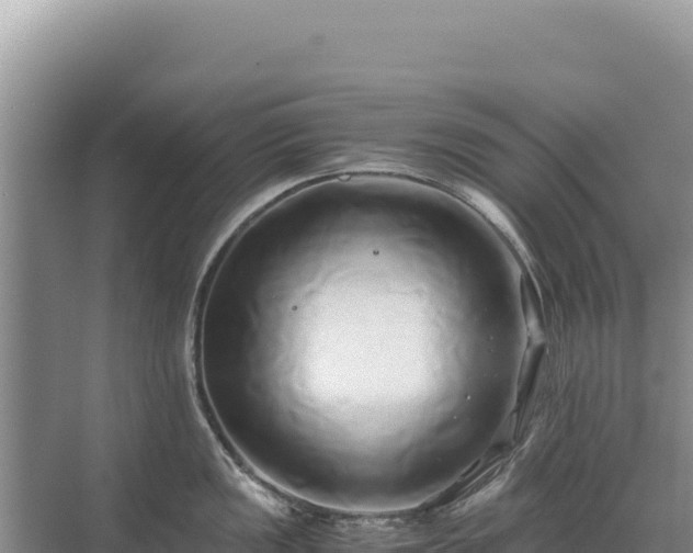 X0000071381149200606301803