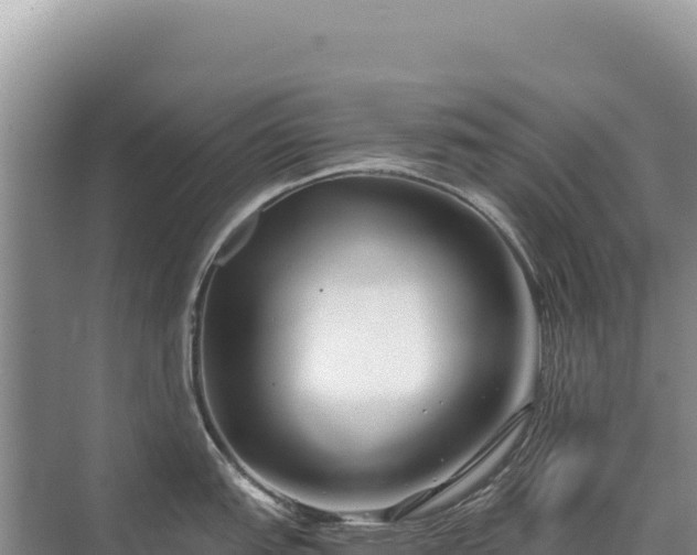 X0000071381151200606301803