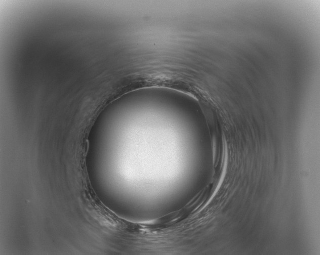 X0000071381153200606301802