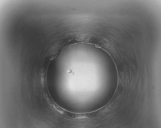 X0000071381154200606301802