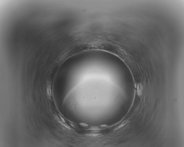 X0000071381155200606301802