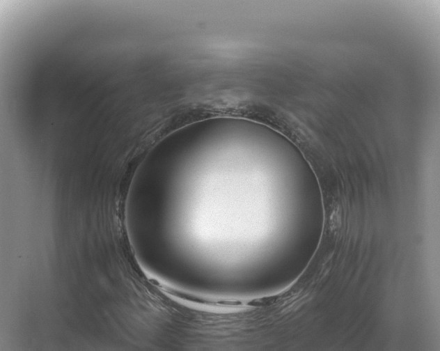 X0000071381156200606301802