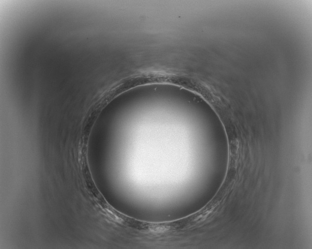 X0000071381157200606301802