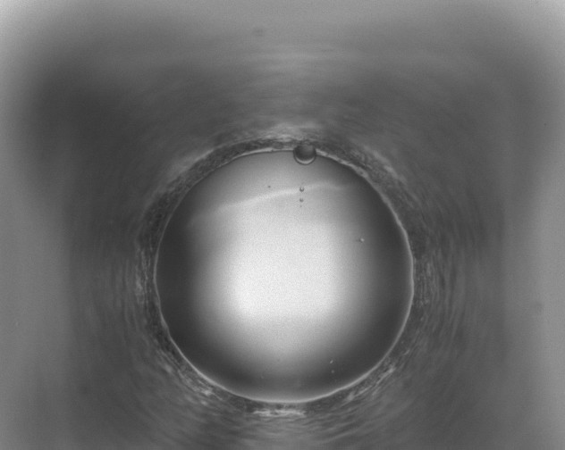 X0000071381158200606301802