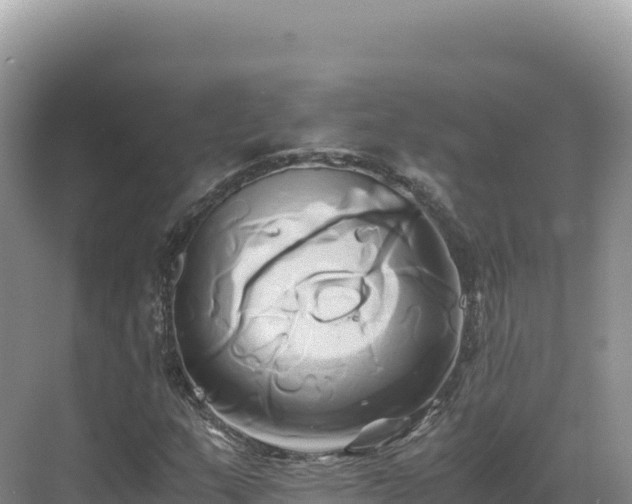 X0000071381159200606301802