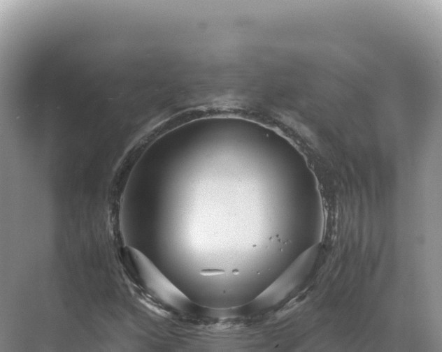 X0000071381160200606301802