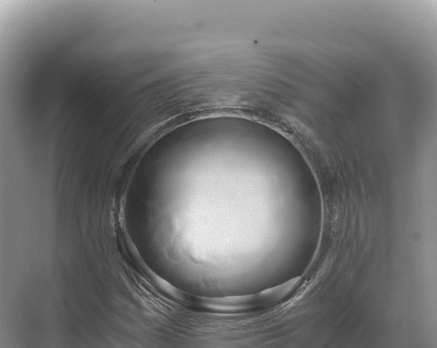 X0000071381161200606301802