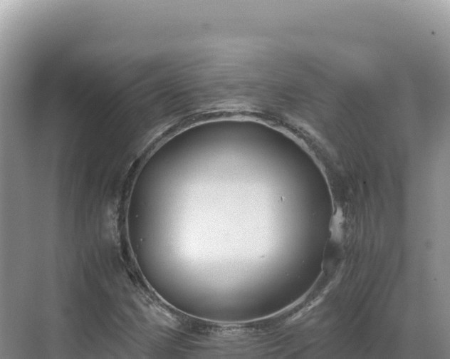 X0000071381162200606301802