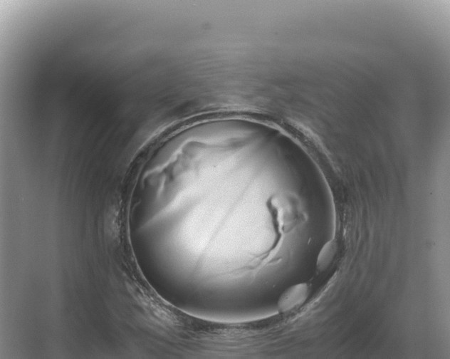 X0000071381163200606301802