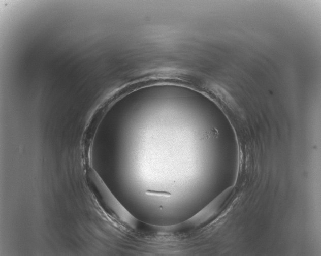 X0000071381164200606301802