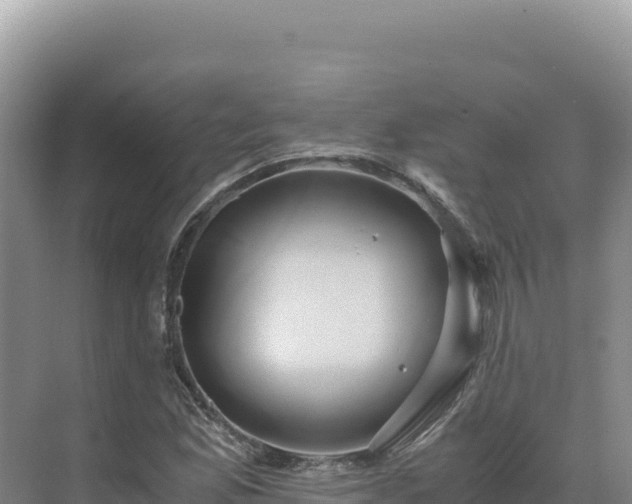 X0000071381165200606301802