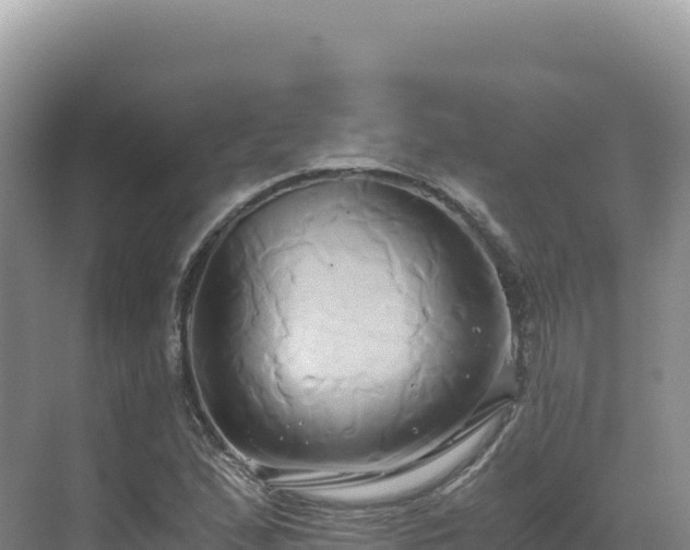 X0000071381167200606301802