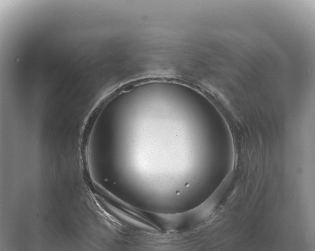 X0000071381168200606301802