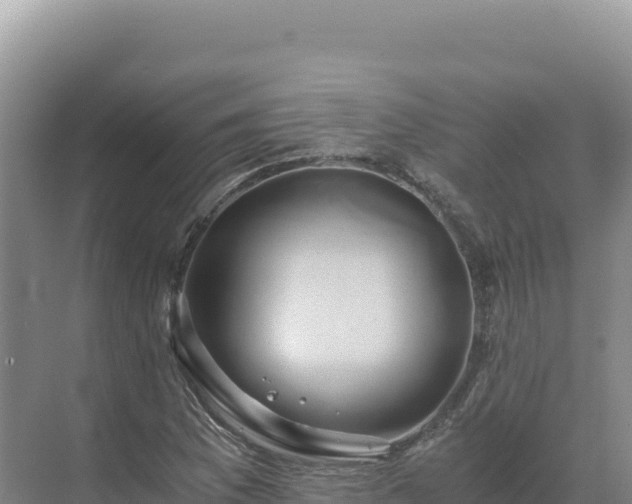 X0000071381169200606301802