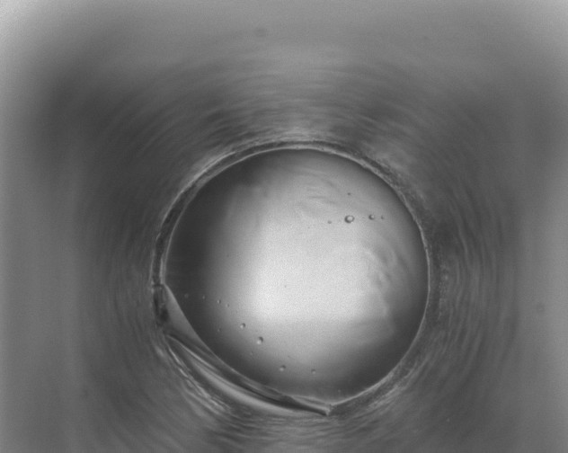 X0000071381170200606301802