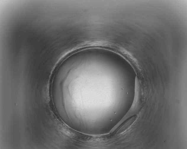 X0000071381174200606301802