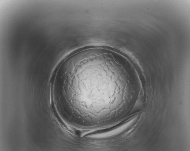 X0000071381175200606301802