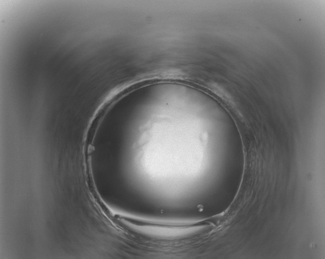 X0000071381176200606301802