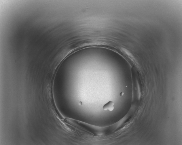 X0000071381177200606301802