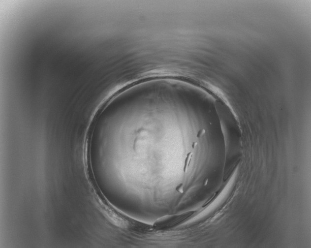 X0000071381179200606301802