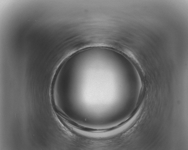 X0000071381181200606301802