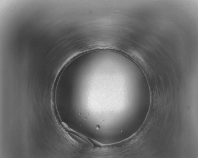 X0000071381182200606301802