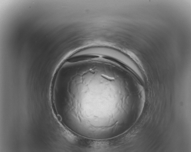 X0000071381183200606301802