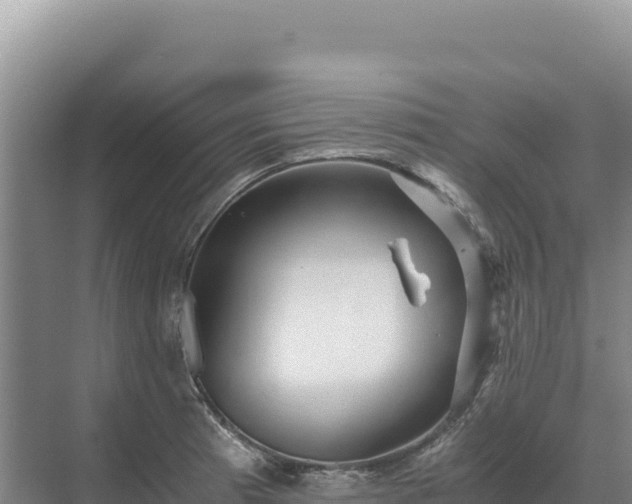 X0000071381185200606301802