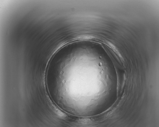 X0000071381186200606301802