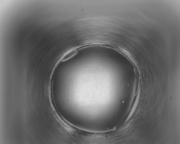 X0000071381187200606301802