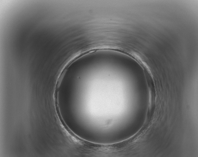 X0000071381189200606301802