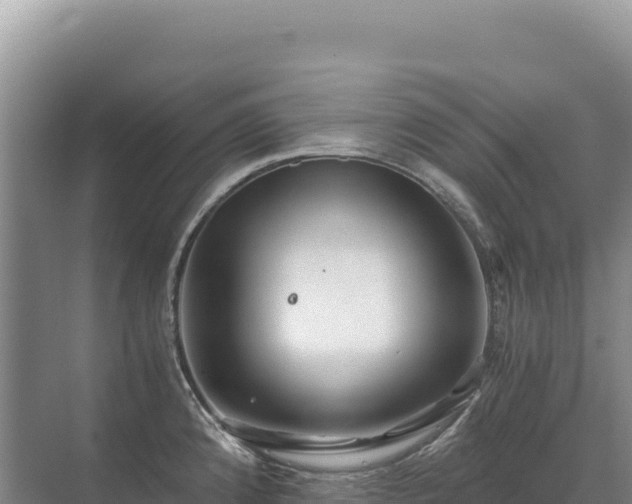 X0000071381192200606301802