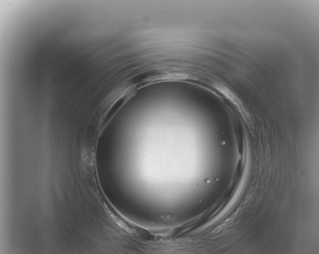 X0000071381193200606301802