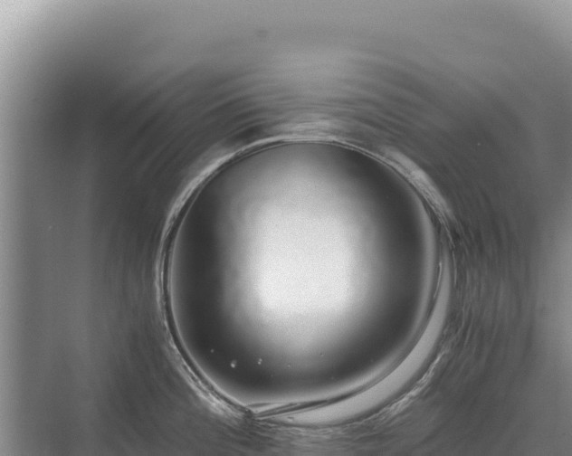 X0000071381196200606301802