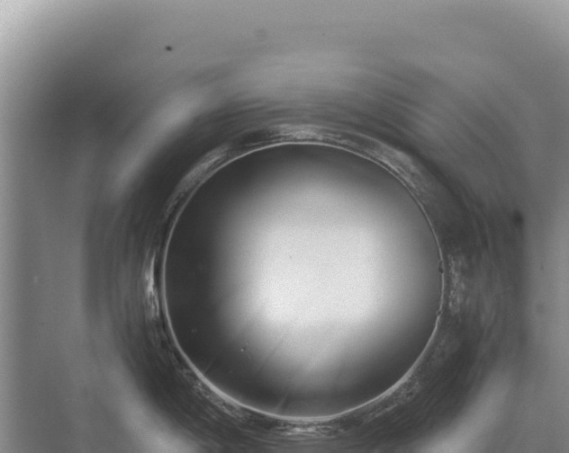 X0000071381198200606301802