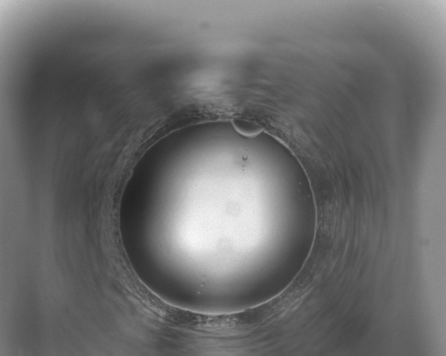 X0000071381201200606301801