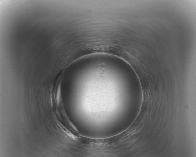 X0000071381202200606301801