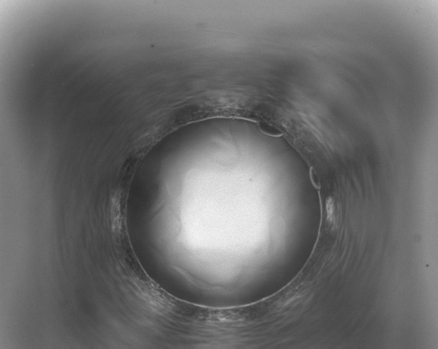 X0000071381203200606301801