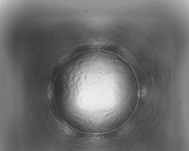 X0000071381204200606301801