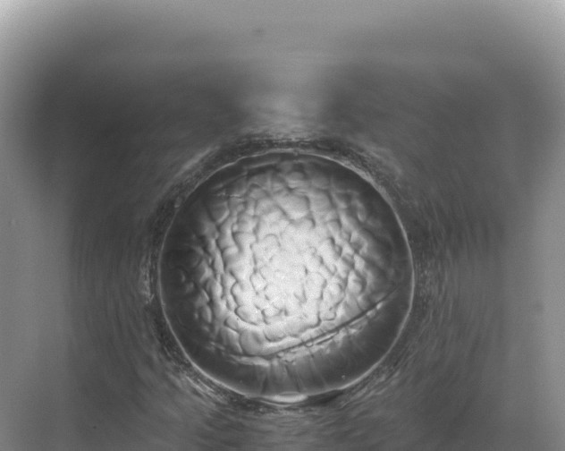 X0000071381205200606301801