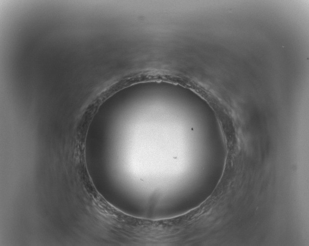 X0000071381207200606301801