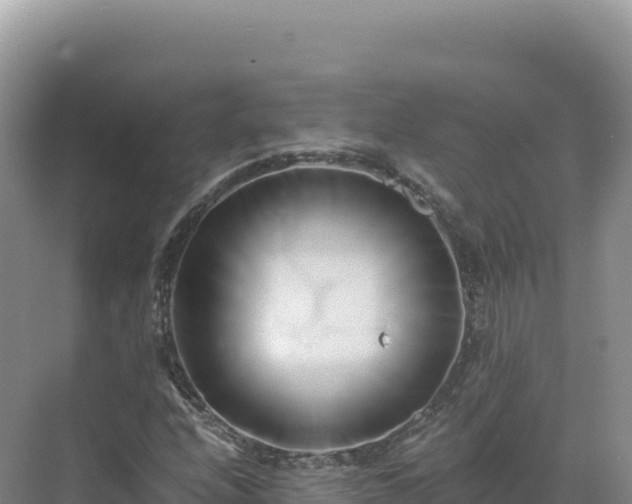 X0000071381208200606301801