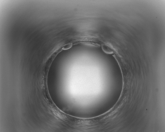 X0000071381211200606301801