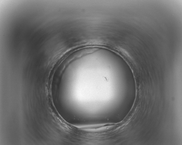 X0000071381212200606301801