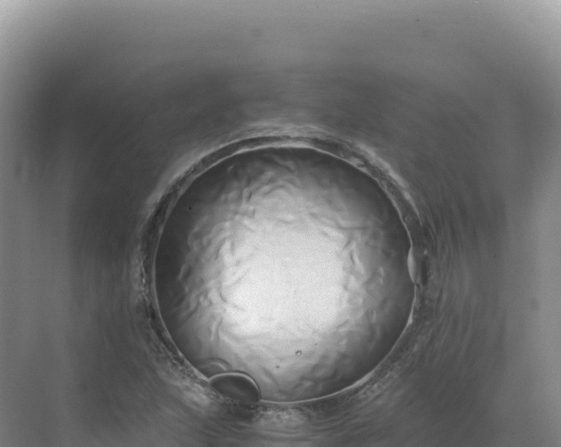 X0000071381215200606301801