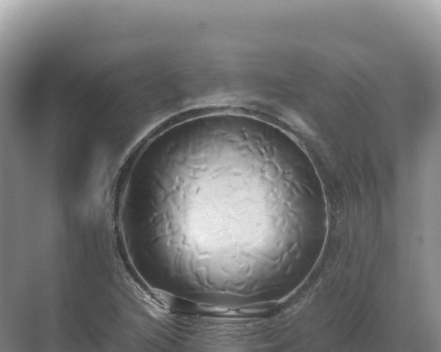 X0000071381216200606301801