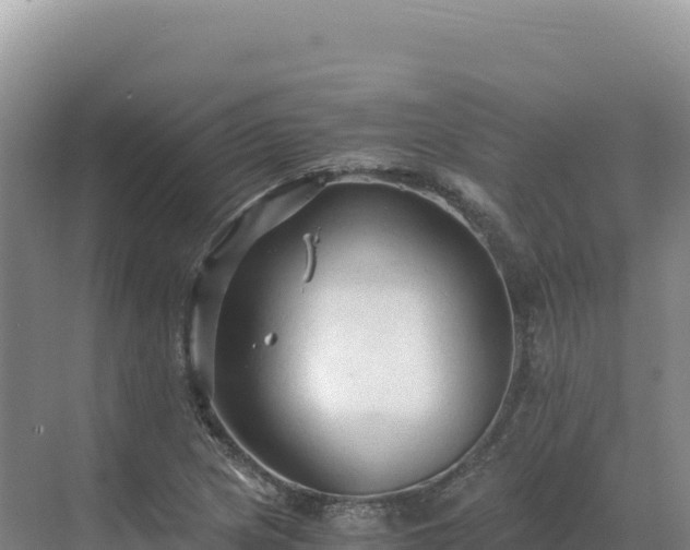 X0000071381217200606301801