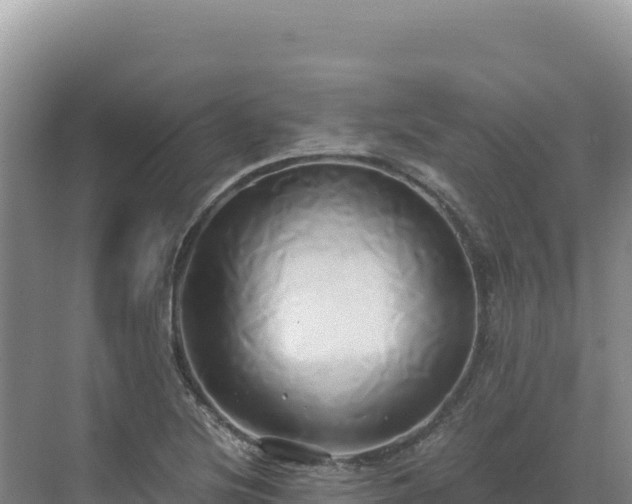 X0000071381220200606301801