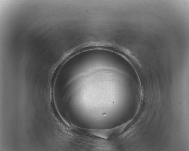 X0000071381221200606301801