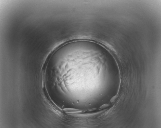 X0000071381223200606301801